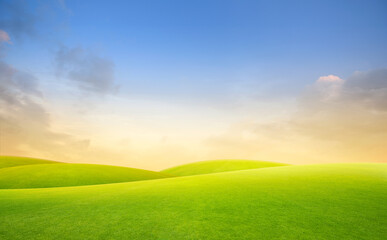 Field of green fresh grass on sunset or sunlight.