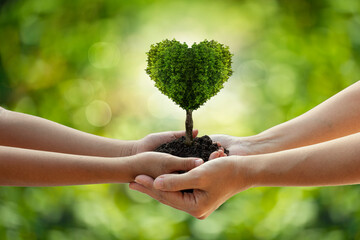 environment Earth Day Hands from nature. Girl hands holding heart shape trees growing on bokeh green background. 