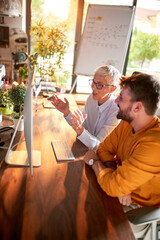 An elderly business woman showing a computer screen content to a young male colleague at the desk at workplace. Business, office, job