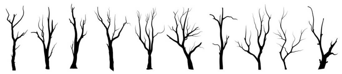 set black branch tree or naked trees silhouettes vector. hand drawn isolated illustrations.
