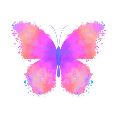 Sticker - Watercolor colorful butterfly