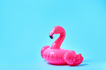 Inflatable Pink Flamingo Pool Toy On Blue Background. Creative Minimal Concept