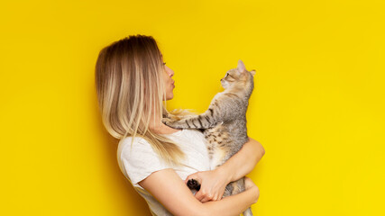 A young caucasian pretty cute blonde woman holds a tabby cat in her hands admiring it isolated on a bright color yellow background. The girl babying with a kitten. Fiendship of pet and owner. Banner