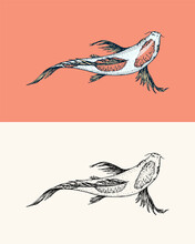 Koi Carp, Japanese Fish. Korean Animal. Engraved Hand Drawn Line Art Vintage Tattoo Monochrome Sketch For Poster Or Label.