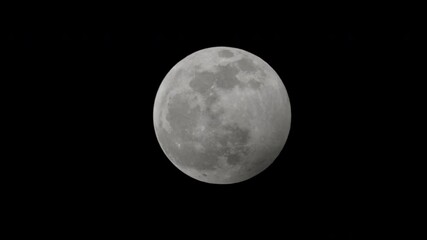 Wall Mural - Full moon in perigee. Perfectly round and bright moon, full moon, moving in its perigee phase. Minimum distance from the Earth.