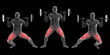 3d Illustration of Barbell Lateral lunges