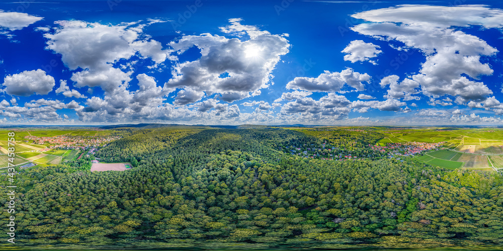 Pfälzer Forest in Germany 360° Airpano