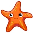 Cute starfish cartoon