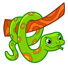 Cute Snake Cartoon