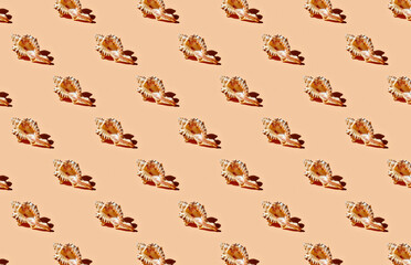 Pattern of sea shells on orange background