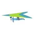 © nsit0108 - Wing hang glider icon. Cartoon of Wing hang glider vector icon for web design isolated on white background