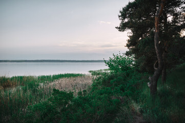 Forest on a cliff near a river flood near a reservoir at sunset