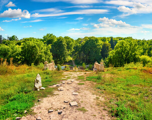 Wall Mural - road in field at sunny day