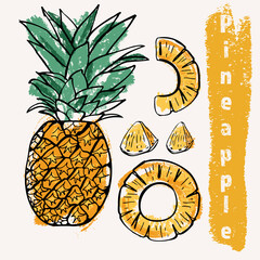 Pineapple line art and color hand-drawn vector illustration. Rough crayon strokes doodle in an expressive loose coloring book style