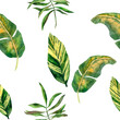 Seamless tropical pattern with green leaves of monstera, philodendron, banana leaves for design and decoration. Great for scrap paper, textiles, decor