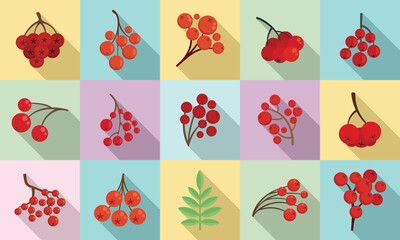 Poster - Rowan icons set, flat style