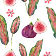 Seamless tropical pattern with green leaves around the edges with red burgundy border, pink green leaves, fig halves and dragon fruit for design and decoration. Great for cleaning paper, textiles