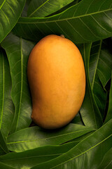 Poster - Fresh delicious sweet mangoes on a green leaf background.