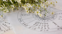 Printed Astrology Charts With Planets And Small White Spring Flowers In The Background