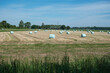 Freshly mown grassland with hay bales in plastic, farm with cows in the background. Dutch picture with a blue sky. Dutch farmers race against the rain to hay, mow, rake and silage. Lelystad, June 2021