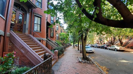 green street in old town with a branch, stairs and trees