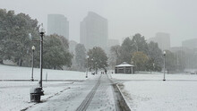Snow In A Park With Shadowy Skyline And Lamps (Boston)