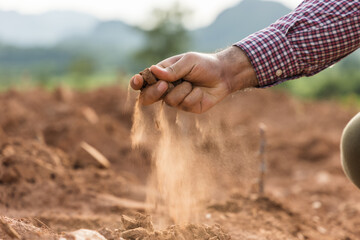 Expert hand of farmer checks quality of soil before sowing. The farmer tests soil the growth quality of seedling.Agriculture concept.