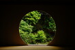 Looking at Japanese garden thru Round window in Japanese architecture - 丸窓から覗く日本庭園