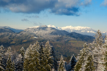 Canvas Print - Winter landscape in snow in Skofja Loka hills