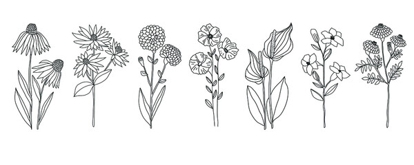 Hand drawn flower group collection on white background. Vector illustration in doodle art style