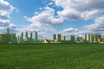 Green field. Skyscrapers on the horizon. Eco city concept