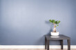 A plain blue wall with table and bonsai tree on the right hand side