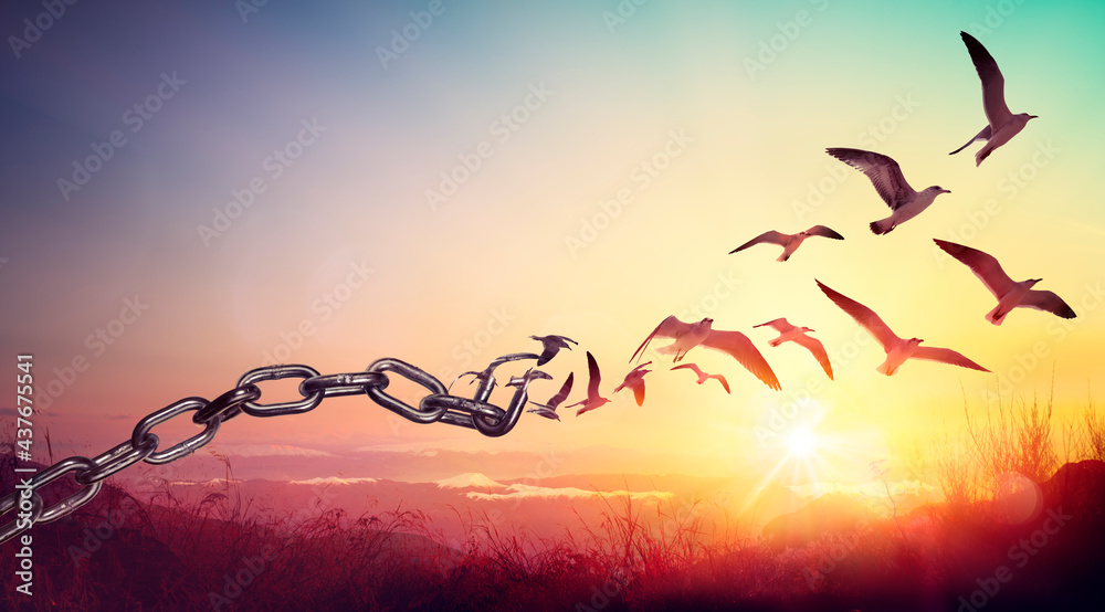Freedom - Chains That Transform Into Birds - Charge Concept - obrazy, fototapety, plakaty 