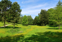 A Beautiful Kentish Woodland Landscape