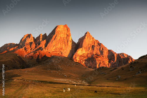 Fototapeta Kaukaz  park-narodowy-erzi-w-inguszetii-kaukaz-rosja-gora-cei-glina-o-wschodzie-slonca-piekny-jesienny-krajobraz
