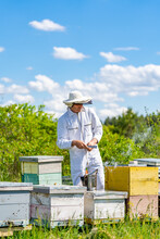 Beekeeper In Protection Suit Working With Bees. Handsome Beekeeper Working With Wooden Beehives.