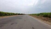 Timelapse Of Driving In A Rural Region With Sugar Cane Fields In Peru. P.O.V. Drivers View