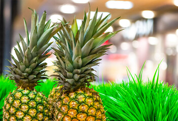  Pineapples against the background of a green grass. pineapple, ananas, pine. Concept fruit basis of healthy food