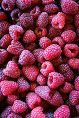 Wall Mural - Raspberries. Raspberry background. Ripe raspberries.