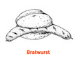 German bratwurst hand drawn vector illustration. Vintage design element. German Food sketch illustration.