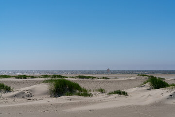 Wall Mural - view of sand dunes covered in reeds and grasses under a blue sky and ocean behind