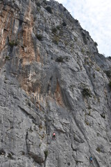 climber on the rock