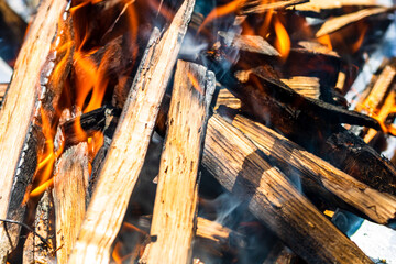 Wall Mural - Amazing view of burning wood chips forming coal - Barbecue preparation, fire before cooking