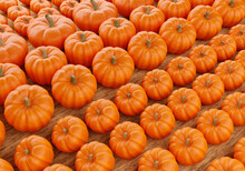 Pumpkins Of Different Sizes Top View. Lots Of Pumpkins On A Wooden Surface. Pumpkins For Illustrations On Theme Of Halloween. Gourds For Preparation Of Jack's Fixtures. 3d Background With Many Gourds