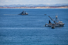 Commercial Fishing Boats In Monterey, California Fishing For Calamari