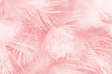 Coral pink vintage,feather pattern texture background,pastel soft fur for baby to sleep.