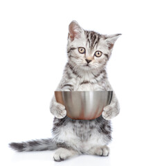 Poster - Kitten holds empty bowl and looks at camera. isolated on white background