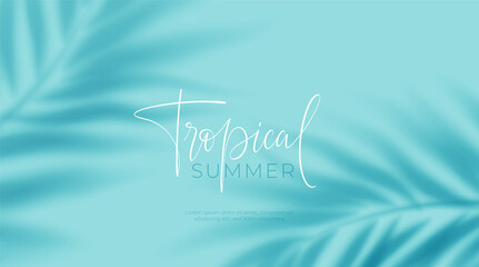 Realistic transparent shadow from a leaf of a palm tree on the blue background. Tropical leaves shadow. Mockup with palm leaves shadow. Vector illustration