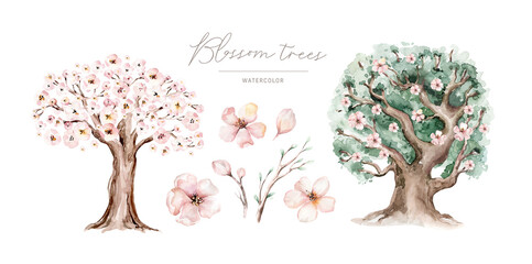 Watercolor Genealogical Family tree. Watercolor children's tree botanical season isolated illustration. olive, oak and cypress. Green forest ecology branch and leaves.