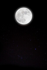Poster - romantic moon in starry night.